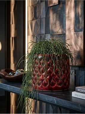 Red Ceramic Barrel Planter - Unique Textured Succulent Pot - 5.5 Inch